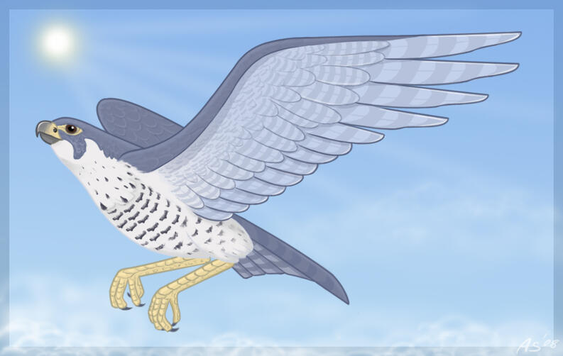 Digital illustration of a Peregrine Falcon with silver wings