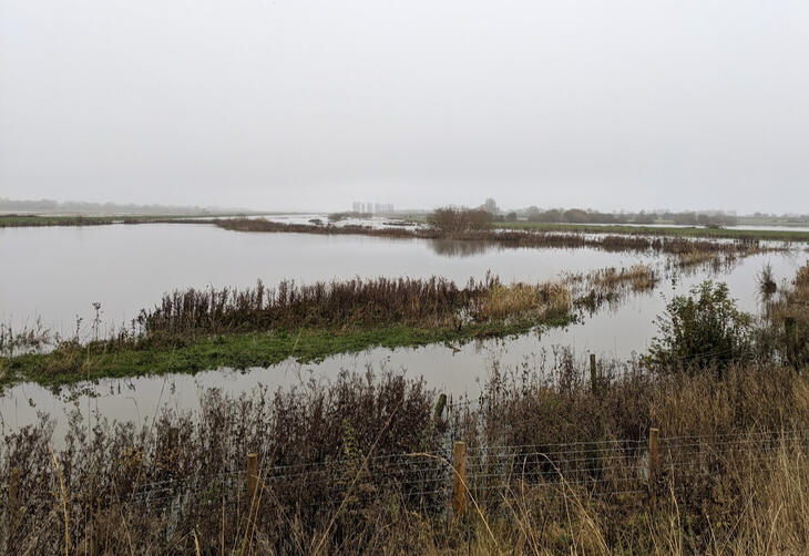 Photo of the LDV in late autumn