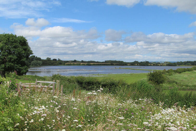 Photo of the LDV NNR in early spring