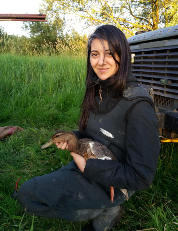 Photo of Becky handling a Mallard